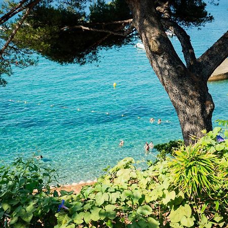 Cabanon Moderne, Les Pieds Dans L'Eau, 2 Chambres لو براديت المظهر الخارجي الصورة